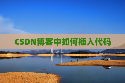 CSDN博客中如何插入代码